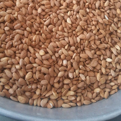 Bonsoul 100% Pure and Natural First Cold Pressed Sweet Almond Oil (Food Grade)
